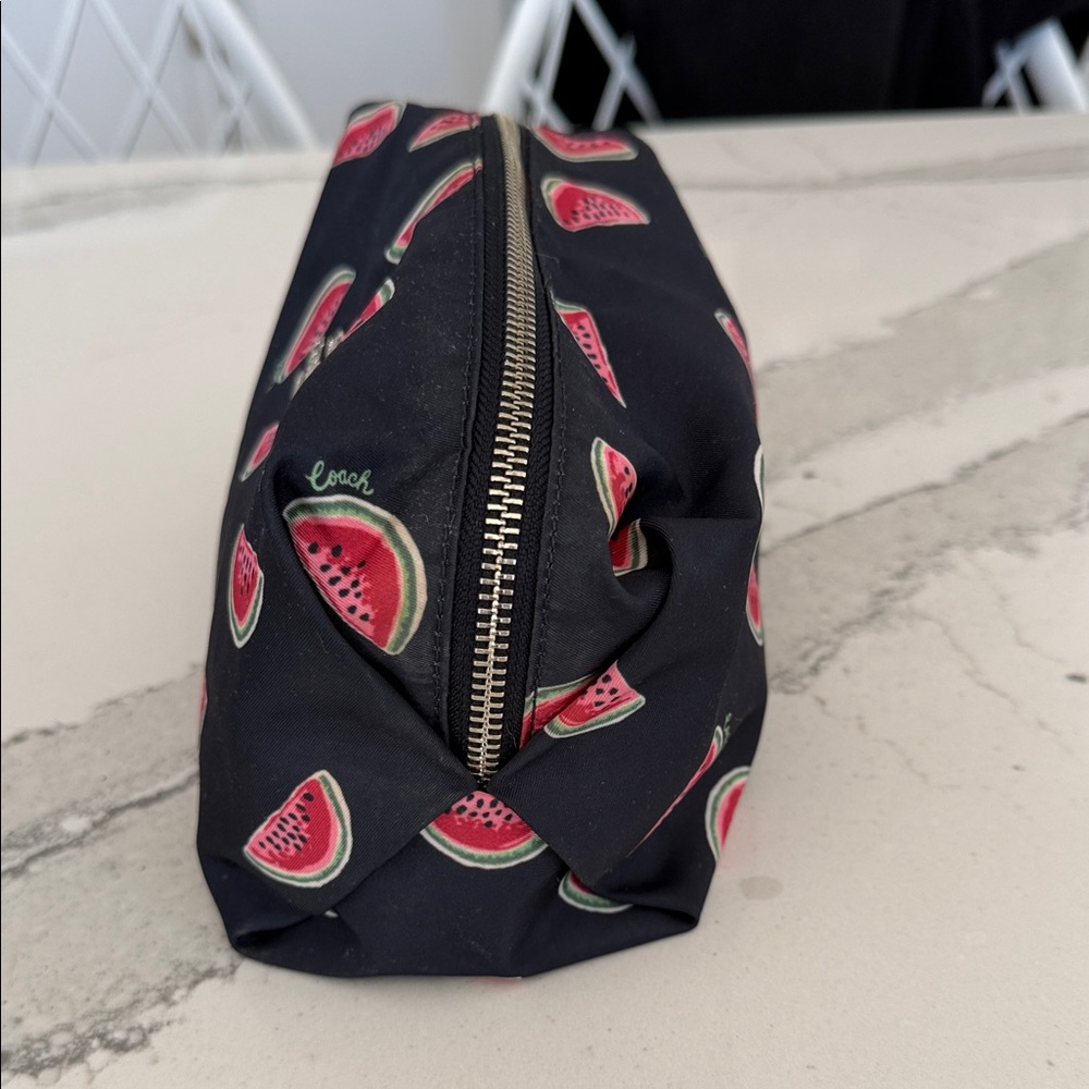 Coach Large Pouch with Watermelon Print